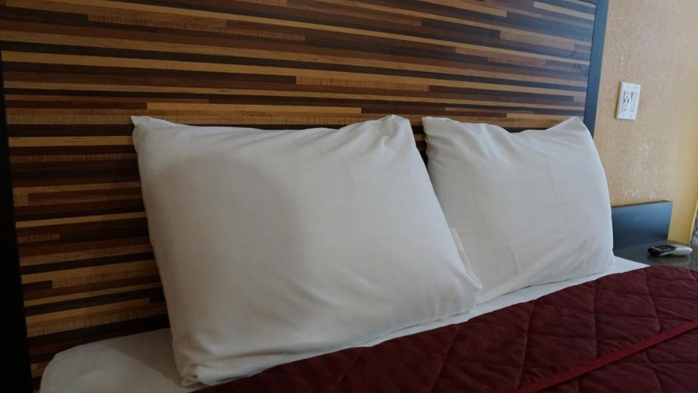Holly Crest Hotel - Los Angeles, LAX Airport Image 10